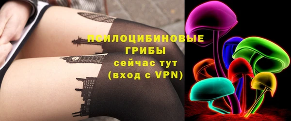 ГАЛЛЮЦИНОГЕННЫЕ ГРИБЫ Михайлов