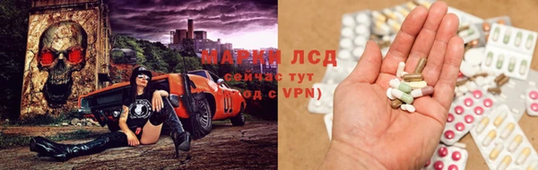 ГАЛЛЮЦИНОГЕННЫЕ ГРИБЫ Михайлов