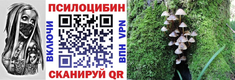 Галлюциногенные грибы MAGIC MUSHROOMS  Среднеколымск 